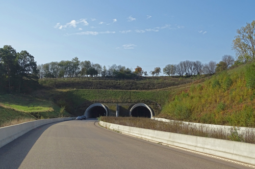 Tunnel Frankenhain